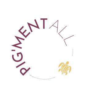 Personal online coaching / 4 sessies